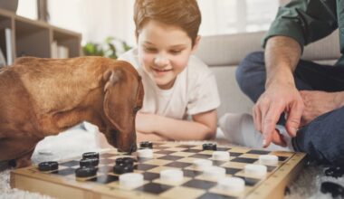 Warcaby czy szachy – co lepsze dla przedszkolaków?