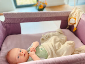 kolyska wrzosowa smartmemories kolyska wrzosowa smartmemories