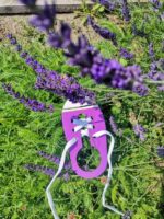 trampek do nauki wiązania