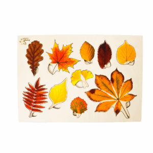 jesienne liście ukladanka