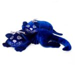 kotek obciążeniowy educol